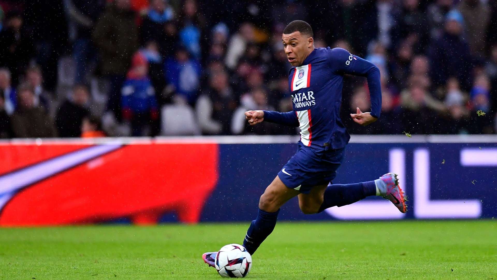 这无疑提供 这无疑提供